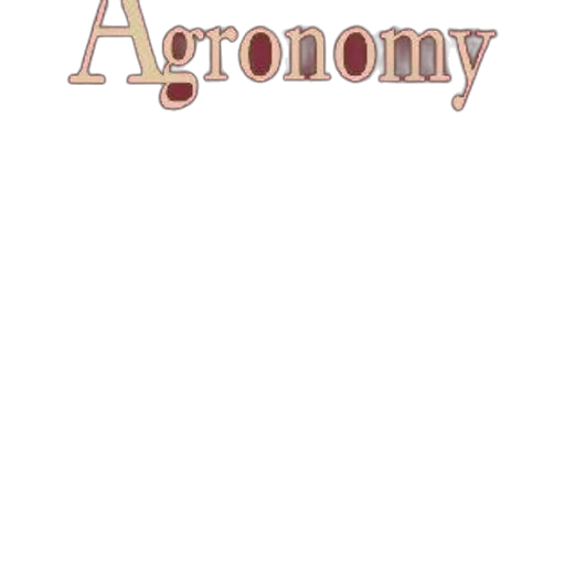 jewelry, crown, food, animal, anime, pixel art, concept art, fantasy art transparent PNG cut-out