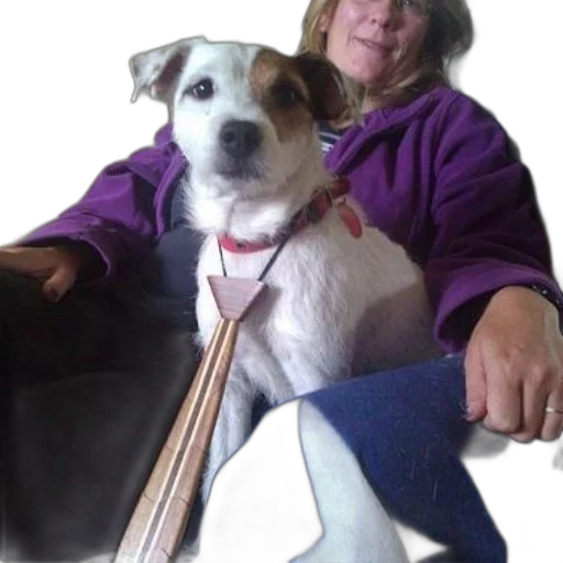 staff, woman, purple, jacket, sits, her, dog, couch transparent PNG cut-out