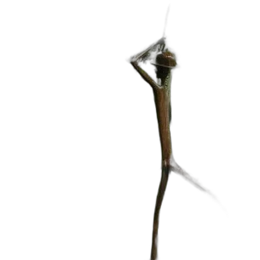 staff, sword, weapon, animal, concept art, 3d render, photorealistic, fantasy art transparent PNG cut-out