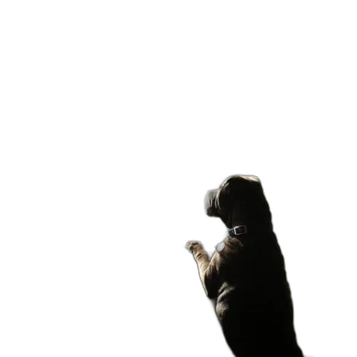 animal, staff, bottle, creature transparent PNG cut-out