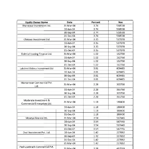 table, titled, promoters-2004, lists, equity, owners, their, respective transparent PNG cut-out
