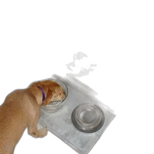 food, bottle, animal, weapon, photorealistic, 3d render, concept art, underwater transparent PNG cut-out