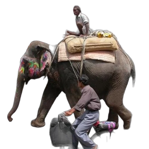 animal, staff, concept art, photorealistic, 3d render, man, rides, elephant transparent PNG cut-out