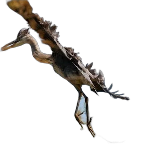 dragon, animal, staff, creature, concept art, 3d render, photorealistic, fantasy art transparent PNG cut-out