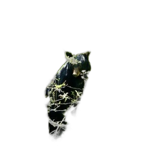 dragon, animal, mask, staff, 3d render, concept art, photorealistic, dark transparent PNG cut-out