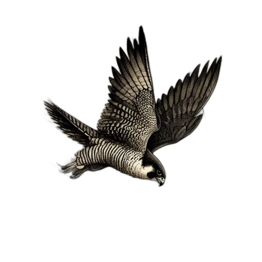 animal, dragon, jewelry, creature, 3d render, photorealistic, concept art, fantasy art transparent PNG cut-out