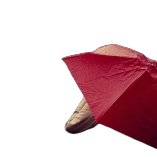 umbrella, hat, shoes, jacket, 3d render, photorealistic, rain, red transparent PNG cut-out