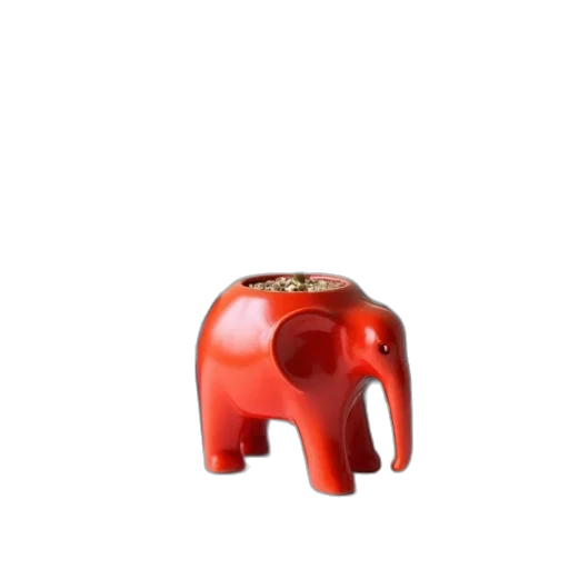 animal, furniture, jewelry, food transparent PNG cut-out