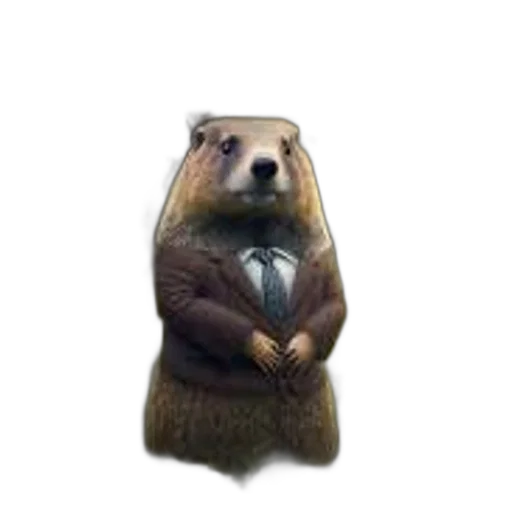 animal, staff, jacket, creature, concept art, 3d render, photorealistic, groundhog transparent PNG cut-out