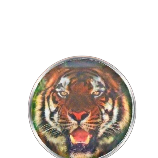 jewelry, animal, photorealistic, 3d render, cover, world, animals, features transparent PNG cut-out