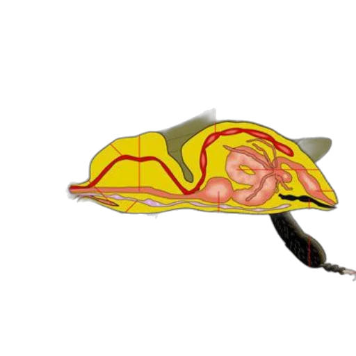 hat, shoes, mask, weapon, 3d render, concept art, photorealistic, anime transparent PNG cut-out