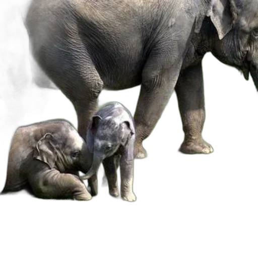animal, creature, photorealistic, concept art, 3d render, baby, elephant, stands transparent PNG cut-out