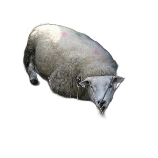 animal, hat, mask, creature, 3d render, concept art, photorealistic, pixel art transparent PNG cut-out