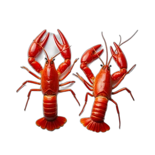 food, animal, jewelry, creature, 3d render, concept art, photorealistic, two transparent PNG cut-out