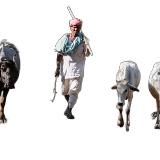 animal, staff, concept art, photorealistic, oil painting, 3d render, man, traditional transparent PNG cut-out