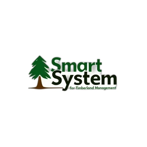 second, image, stylized, logo, smart, system, timberland, management transparent PNG cut-out