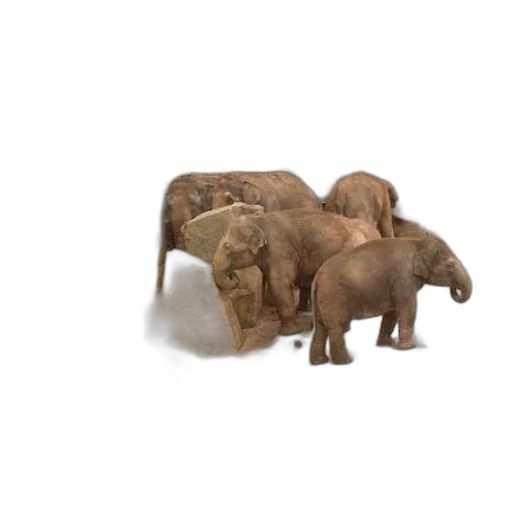 furniture, animal, jewelry, 3d render, photorealistic, concept art, earth tones, elephants transparent PNG cut-out