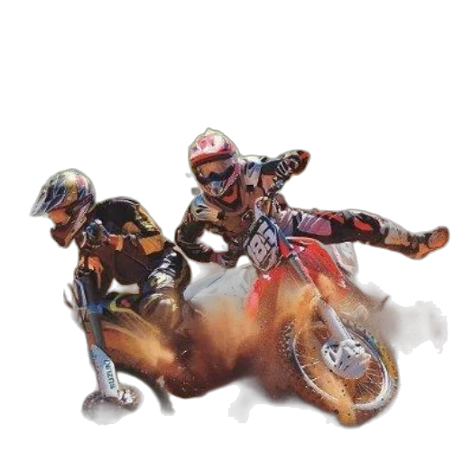 animal, concept art, photorealistic, watercolor, oil painting, motocross, racing, book transparent PNG cut-out