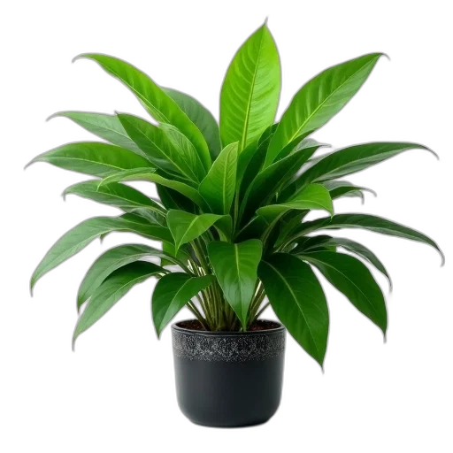flower, photorealistic, 3d render, lush, green, potted, plant, large transparent PNG cut-out
