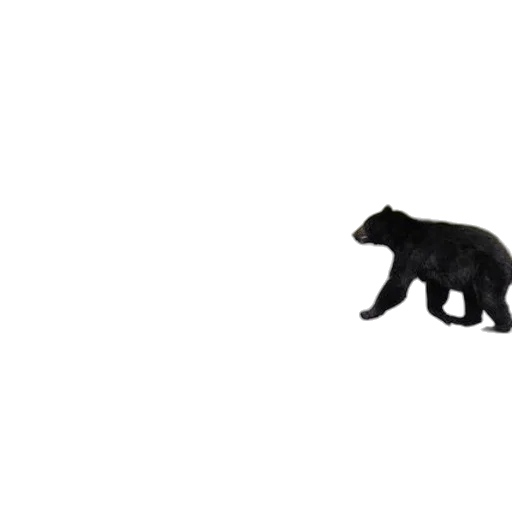 animal, creature, staff, weapon, pixel art, 3d render, concept art, photorealistic transparent PNG cut-out