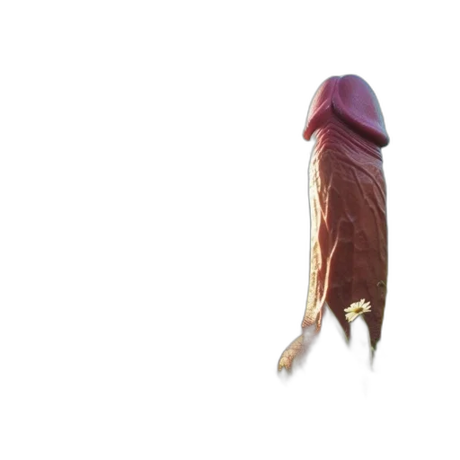 umbrella, staff, creature, food, 3d render, concept art, photorealistic, pixel art transparent PNG cut-out