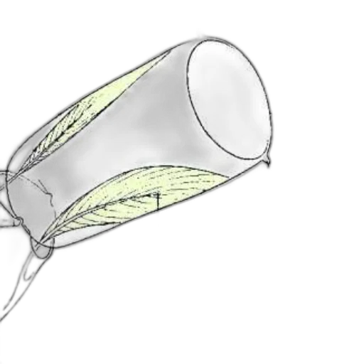 umbrella, staff, bottle, weapon, concept art, 3d render, photorealistic, pencil sketch transparent PNG cut-out