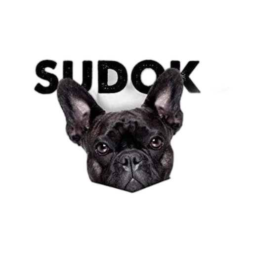 staff, mask, photorealistic, 3d render, loco, sudoku, book, cover transparent PNG cut-out