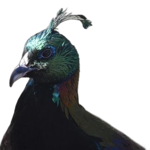 animal, staff, crown, creature, concept art, 3d render, photorealistic, fantasy art transparent PNG cut-out