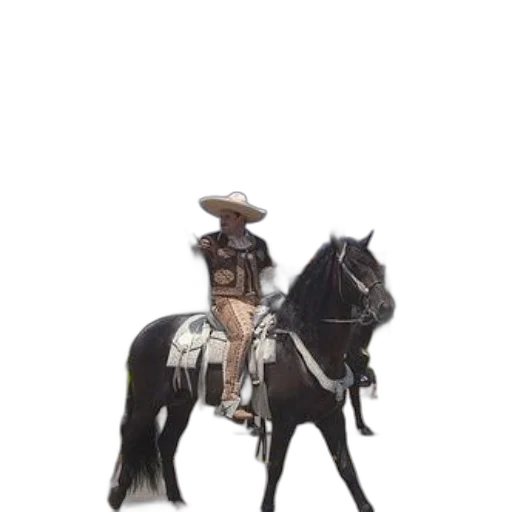 staff, hat, animal, weapon, concept art, 3d render, photorealistic, fantasy art transparent PNG cut-out