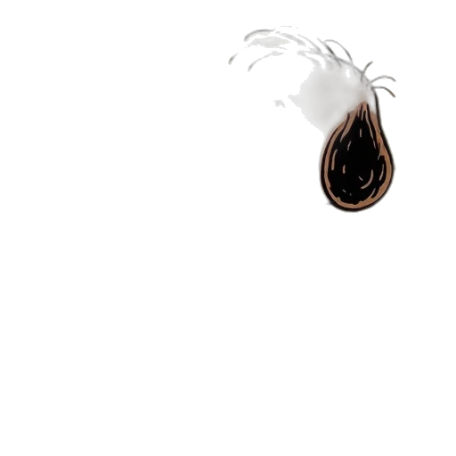 hair, bottle, food, flower transparent PNG cut-out