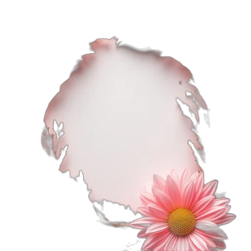 flower, crown, face, jewelry transparent PNG cut-out