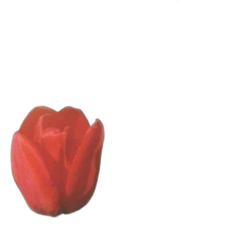 flower, crown, food, jewelry, 3d render, photorealistic, oil painting, concept art transparent PNG cut-out