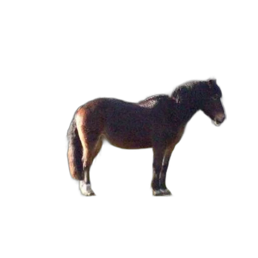 animal, creature, furniture, staff, 3d render, photorealistic, concept art, pixel art transparent PNG cut-out