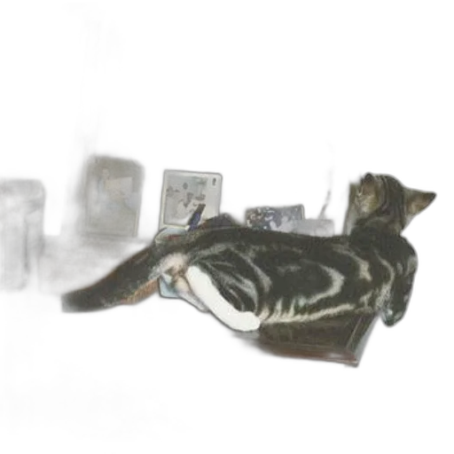 shoes, jewelry, furniture, animal, 3d render, concept art, photorealistic, underwater transparent PNG cut-out