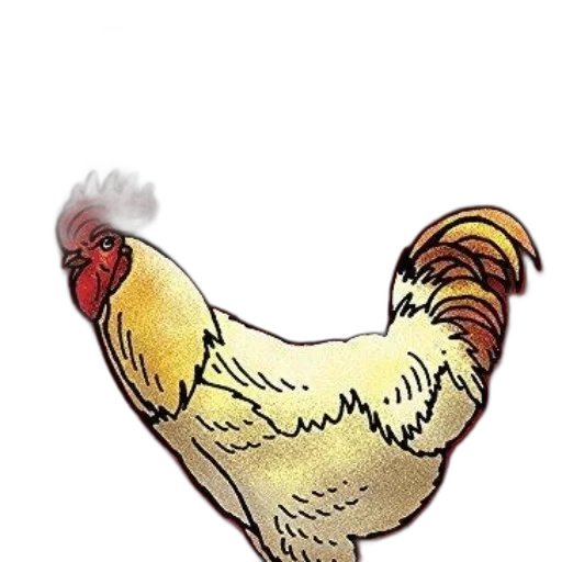 animal, food, pixel art, concept art, watercolor, photorealistic, coloring, book transparent PNG cut-out