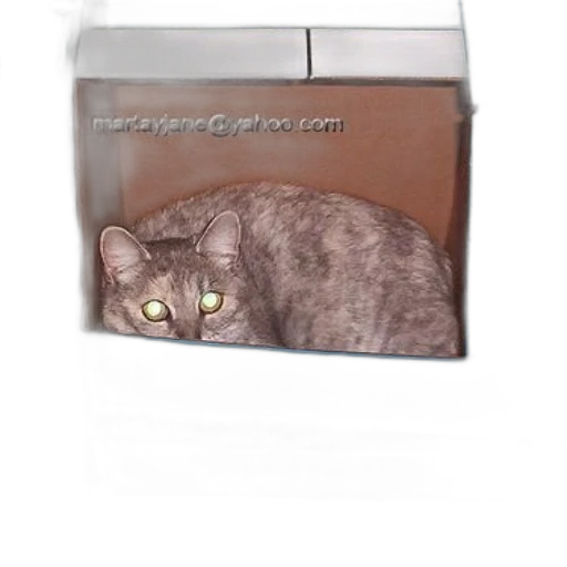 furniture, animal, creature, jewelry, photorealistic, 3d render, cat, sitting transparent PNG cut-out