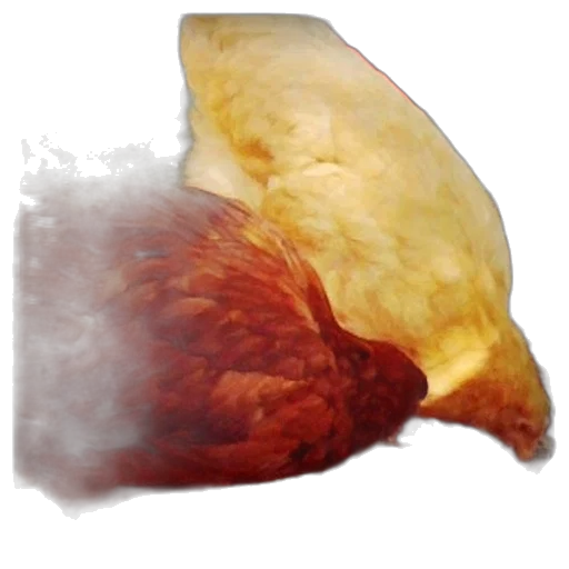 food, mask, hair, face, photorealistic, two, chickens, one transparent PNG cut-out