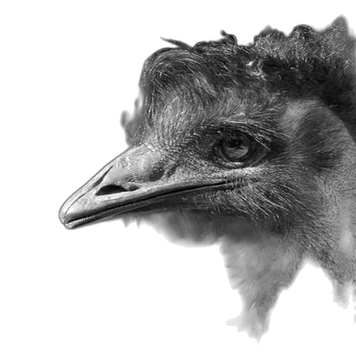 animal, creature, face, mask, photorealistic, 3d render, concept art, pencil sketch transparent PNG cut-out