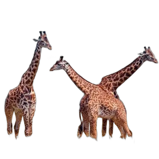 animal, creature, jewelry, staff, 3d render, concept art, photorealistic, pixel art transparent PNG cut-out