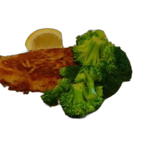 food, crown, shoes, animal, photorealistic, 3d render, underwater, plate transparent PNG cut-out