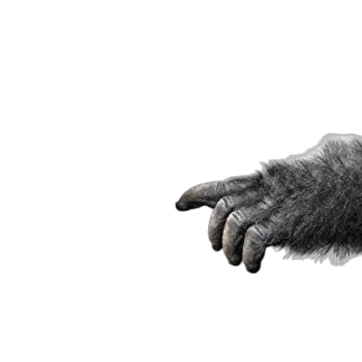 animal, creature, hair, mask, photorealistic, 3d render, concept art, fantasy art transparent PNG cut-out