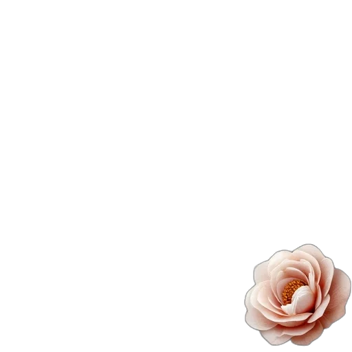 flower, jewelry, crown, dress transparent PNG cut-out