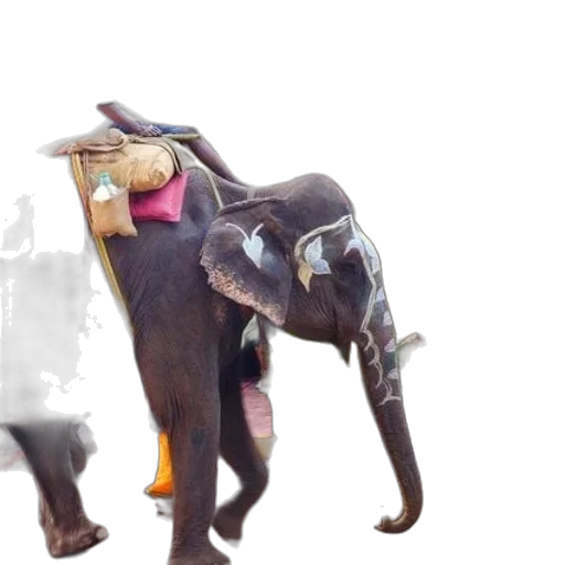 animal, staff, creature, weapon, concept art, 3d render, photorealistic, decorated transparent PNG cut-out