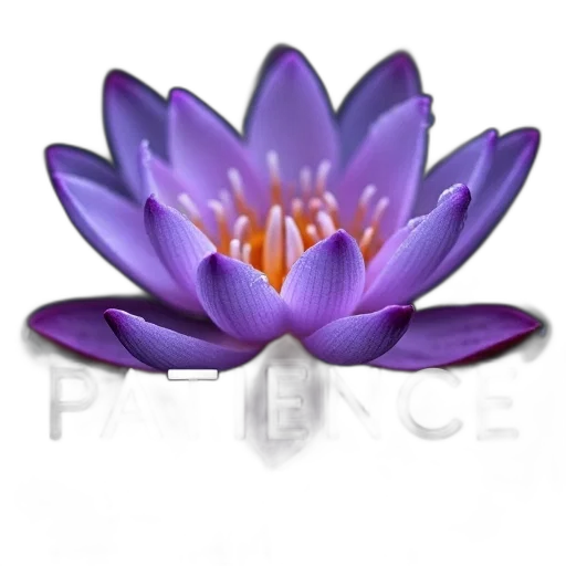 flower, jewelry, crown, photorealistic, 3d render, second, image, close-up transparent PNG cut-out
