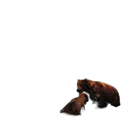 animal, creature, hair, food, 3d render, concept art, photorealistic, pixel art transparent PNG cut-out