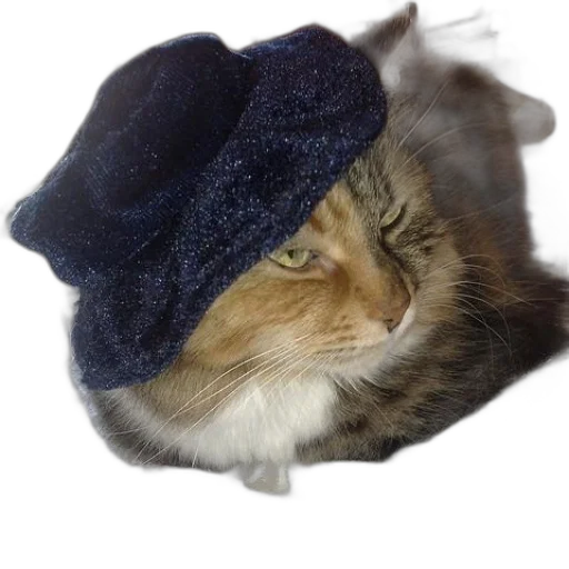hat, animal, crown, creature, photorealistic, vaporwave, cat, wearing transparent PNG cut-out