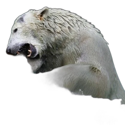 animal, creature, staff, hair, photorealistic, 3d render, concept art, fantasy art transparent PNG cut-out