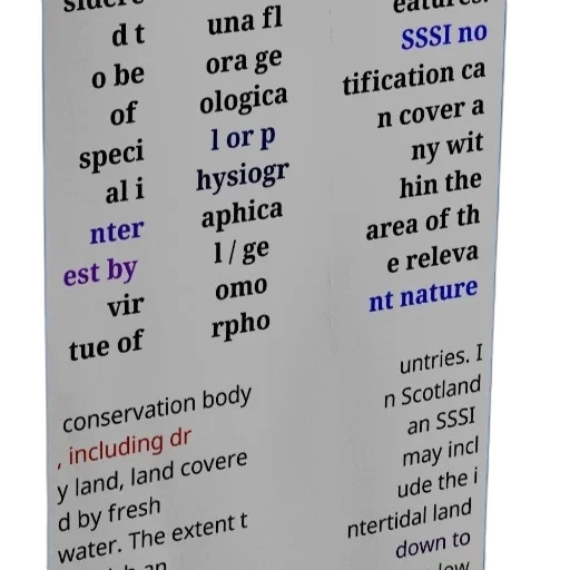 food, tree, 3d render, vaporwave, outer space, forest, poster, text transparent PNG cut-out