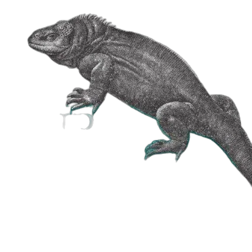 dragon, animal, creature, staff, concept art, photorealistic, 3d render, pencil sketch transparent PNG cut-out