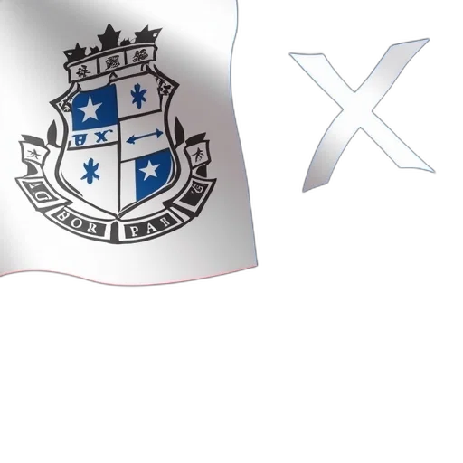 first, image, shows, close-up, flag, unique, design, has transparent PNG cut-out